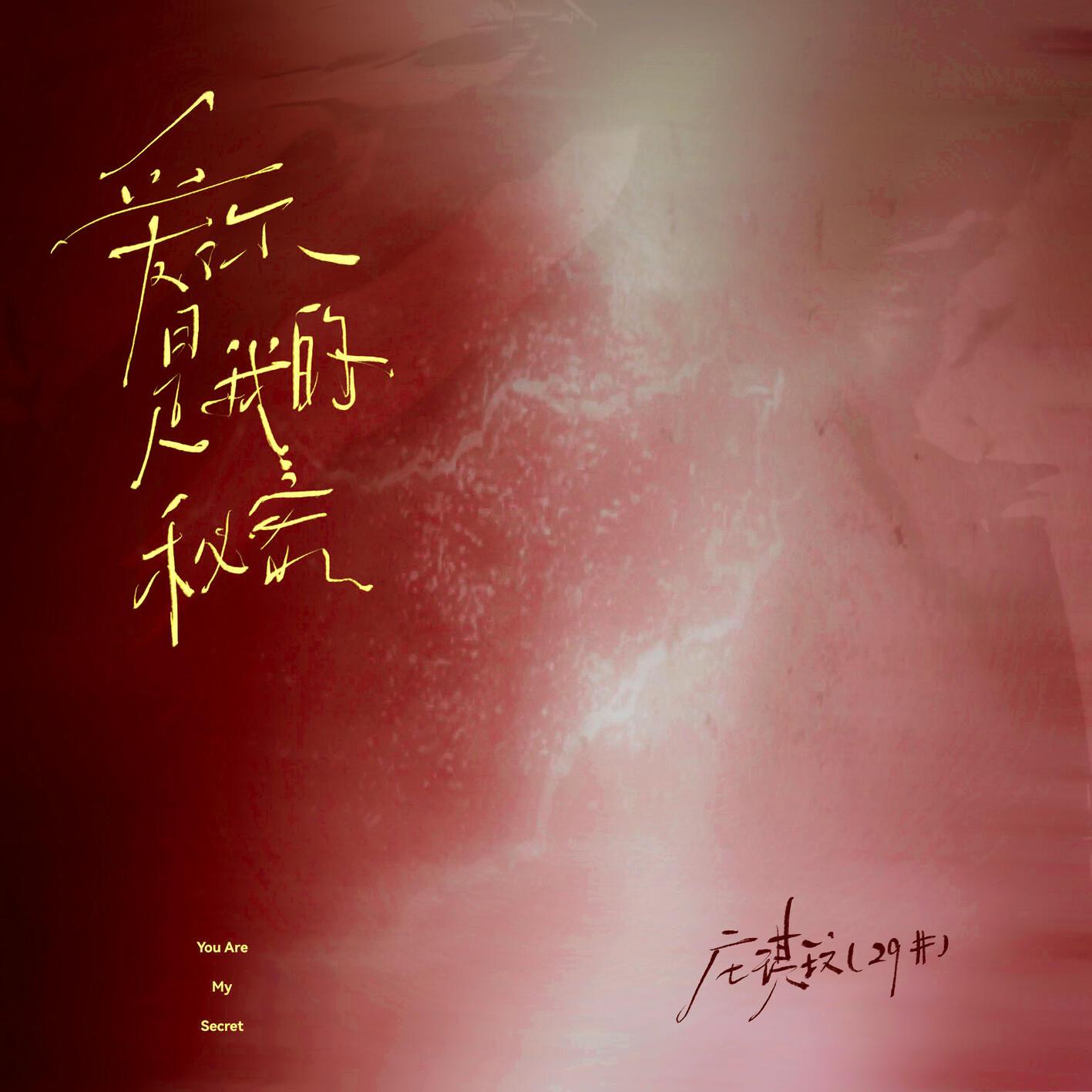 愛你是我的秘密 (愛你成了我的秘密0.95x) 海報