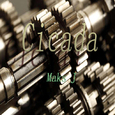 Cicada(Original Mix)