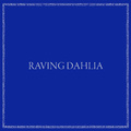 Raving Dahlia