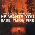 He Wants You/Babe I\'m on Fire [UK CD]