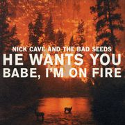 He Wants You/Babe I\'m on Fire [UK CD]