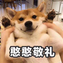 网络热歌分享