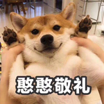 网络热歌分享