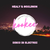 healy - Disco Is Electric (Original Mix)