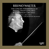 Bruno Walter - Violin Concerto, Op. 35a:Ii. Quasi andante