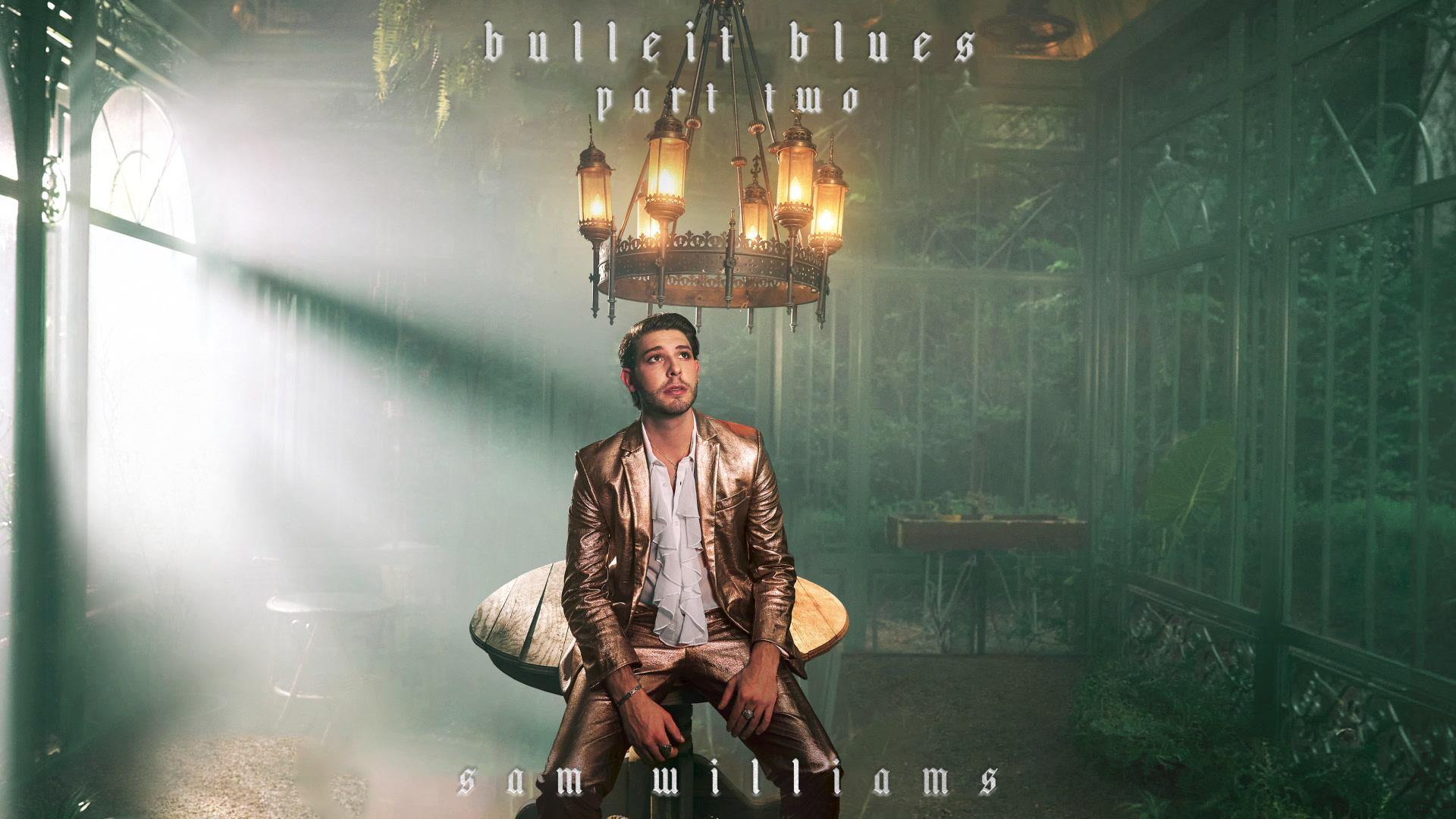 Sam Williams - Bulleit Blues Pt 2 (Audio)