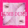 小泽阳川 - Dumb Dumb（翻自 somi）