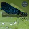 Ecstatic Nature Quality Sound - Insect Love