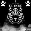 TJR - Tigre