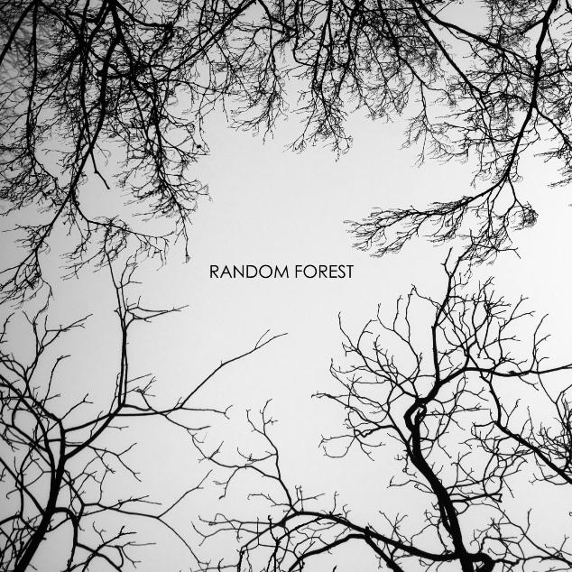 Random Forest专辑