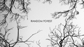 Random Forest专辑