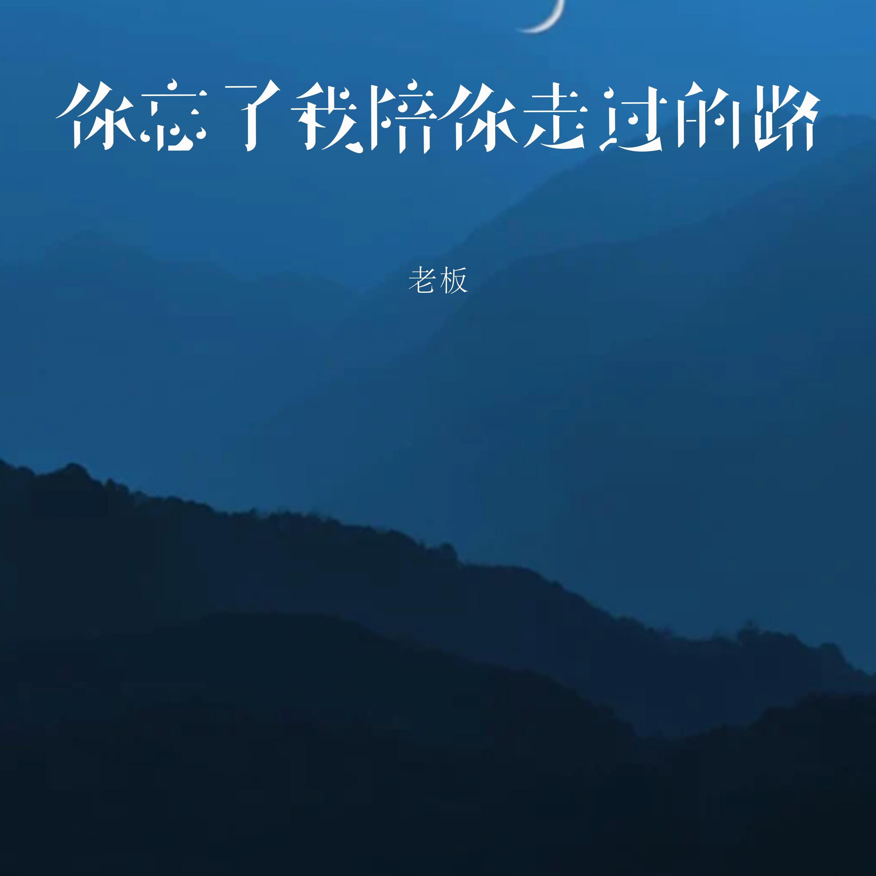 你忘了我陪你走過的路 海報