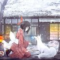 封茗囧菌