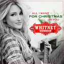 All I Want For Christmas Is You (DMD Single)专辑