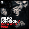 Wilko Johnson - Say Goodbye