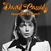 David Cassidy - How Can I Be Sure? (Live)