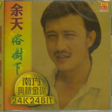愛你愛在心坎裡 海報