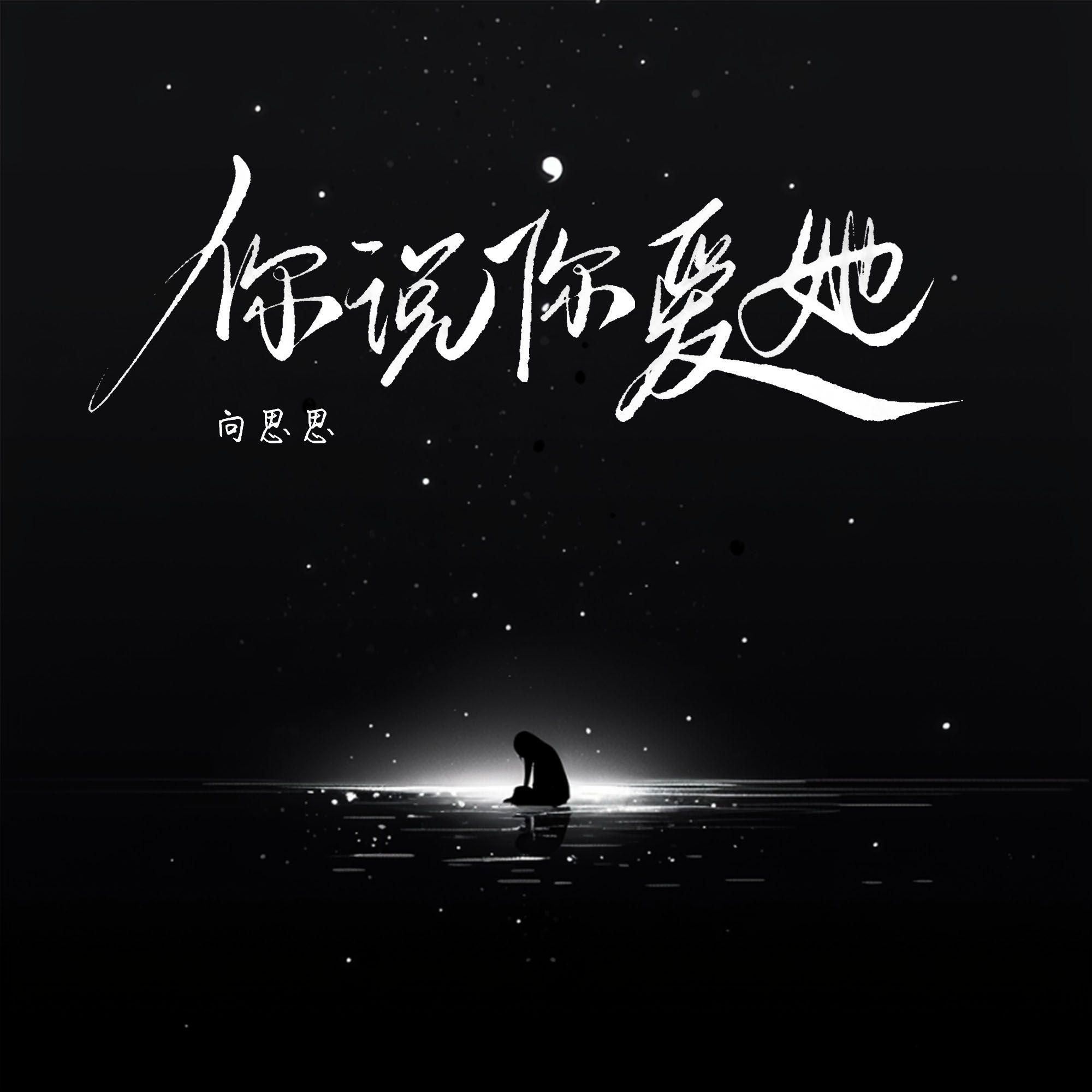 你說你愛她 海報