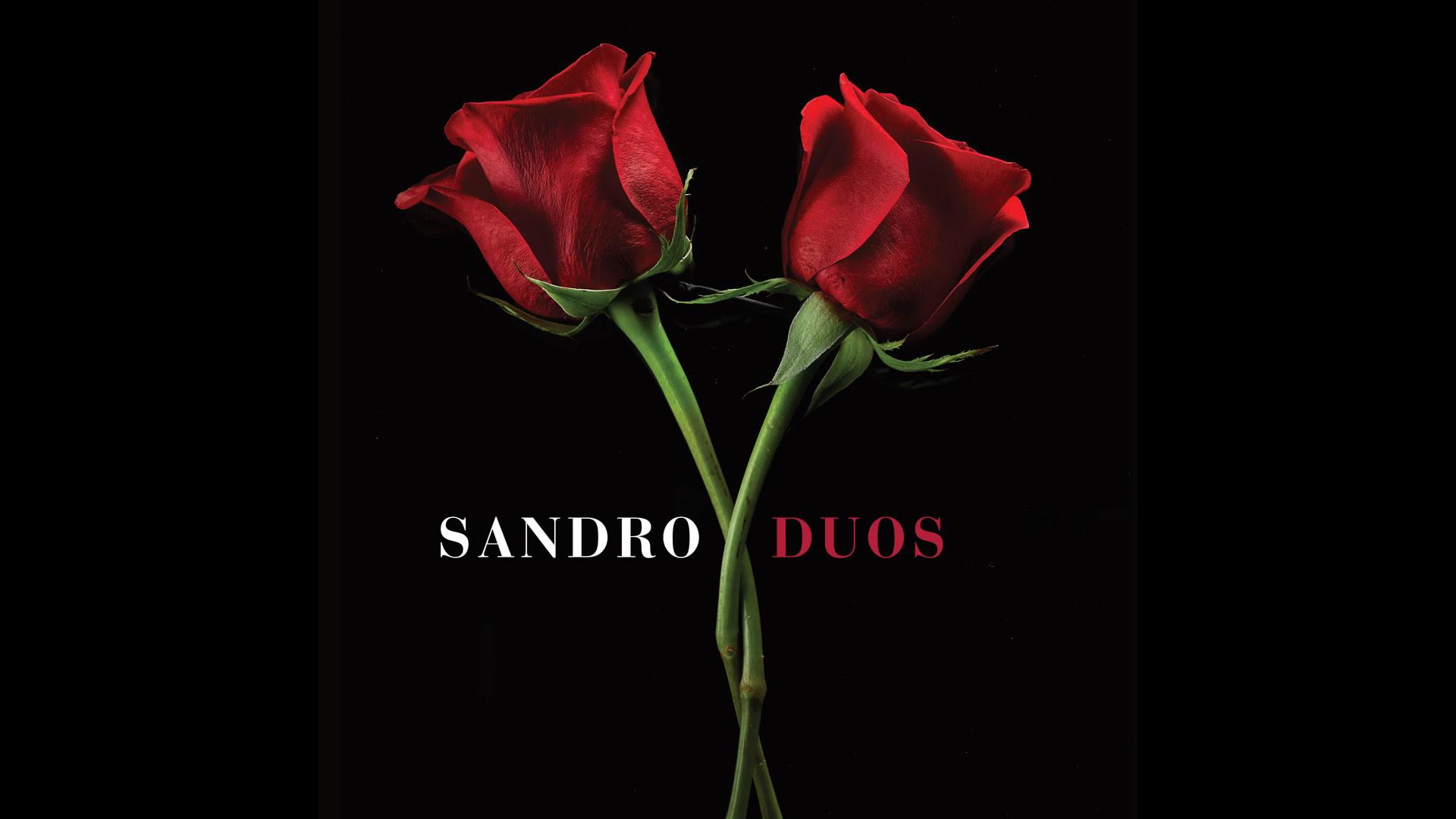 Sandro - Porque Yo Te Amo (Official Audio)