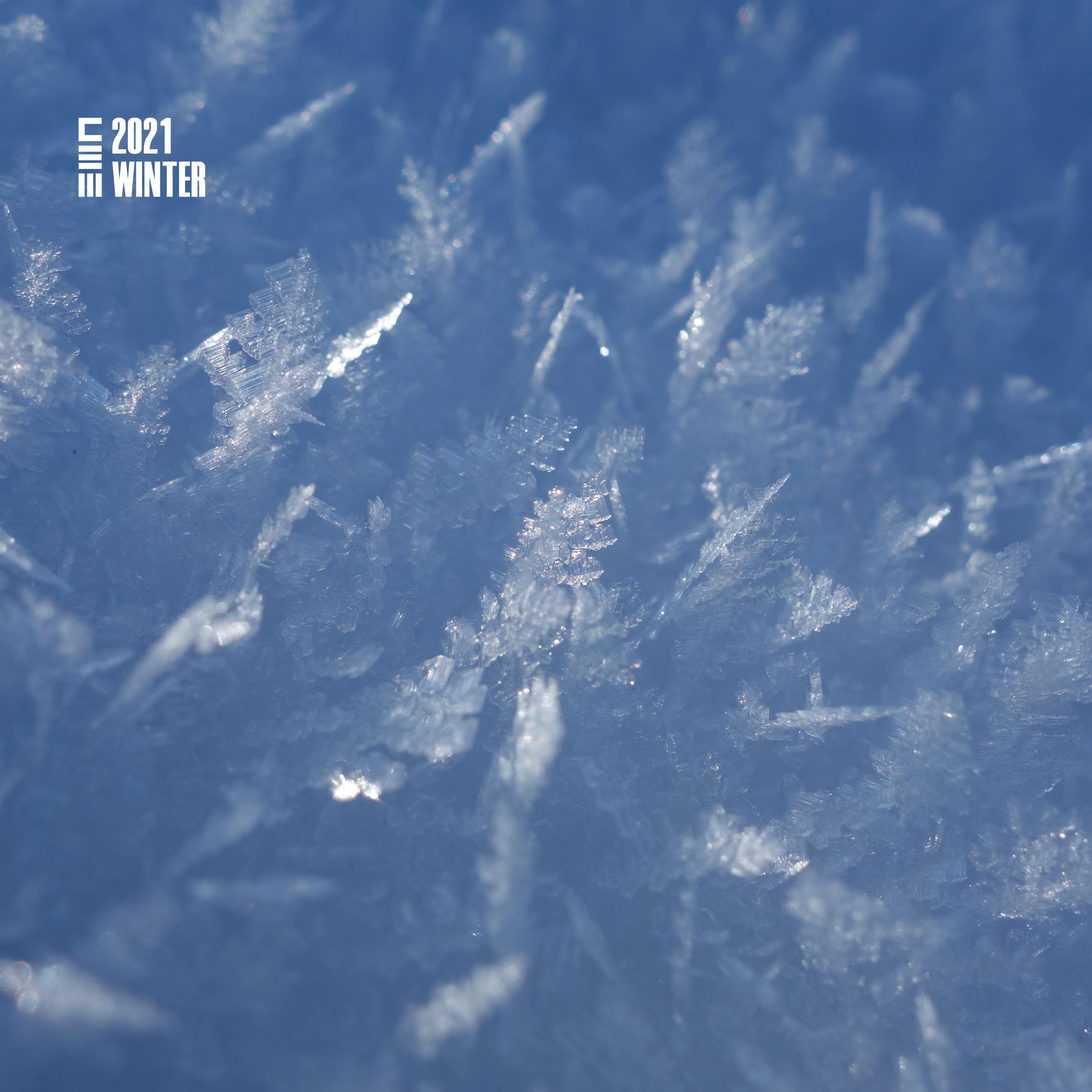 CEM 2021「冬」专辑