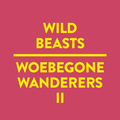 Woebegone Wanderers II