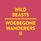 Woebegone Wanderers II专辑