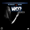 Da Professor - Why (Remix)