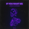 Jewelz & Sparks - If You Want Me