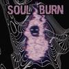 Walls - Soul Burn (Lose it All)