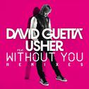 Without You (feat.Usher) [Remixes]专辑