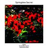 Aleph - Springtime Secret