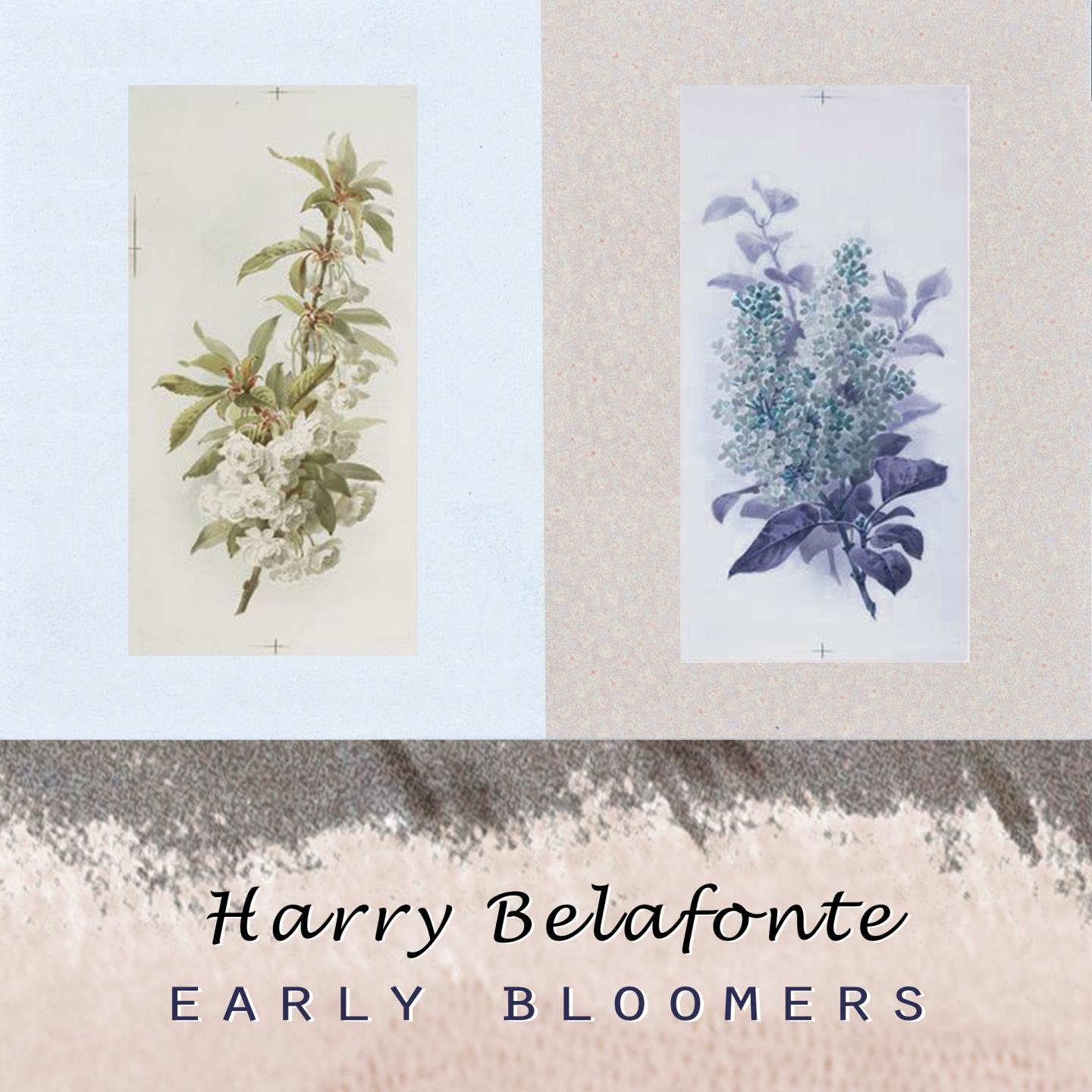 Early Bloomers专辑