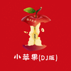 筷子兄弟 - 小苹果 (DJ版伴奏)