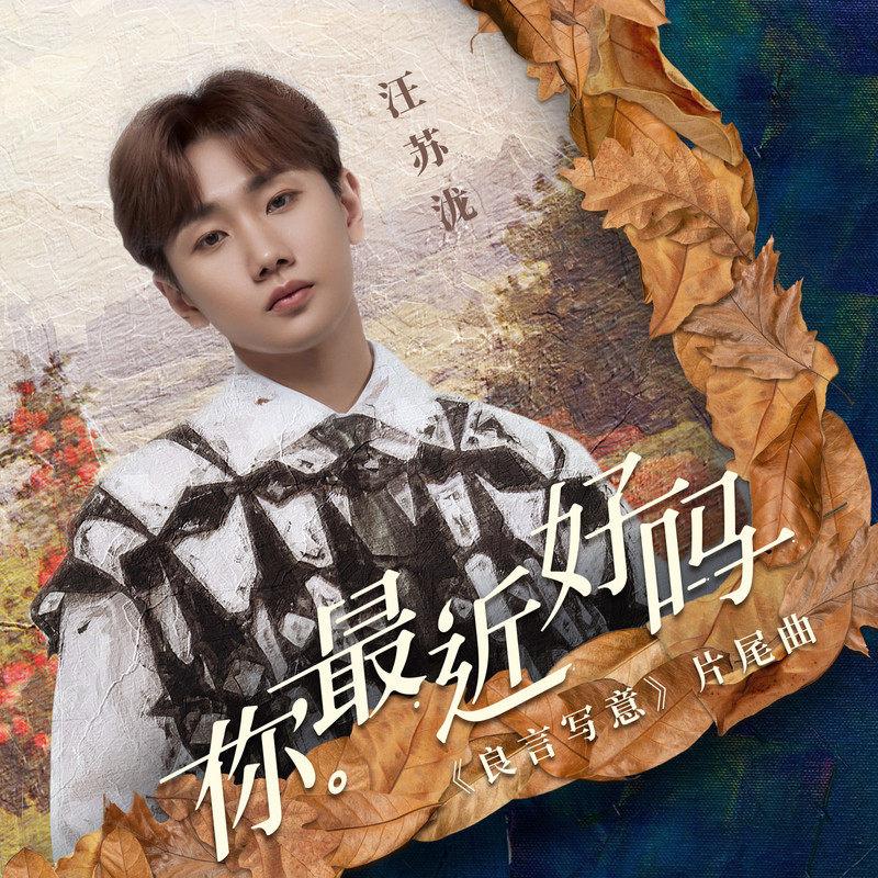 你最近好吗 海报