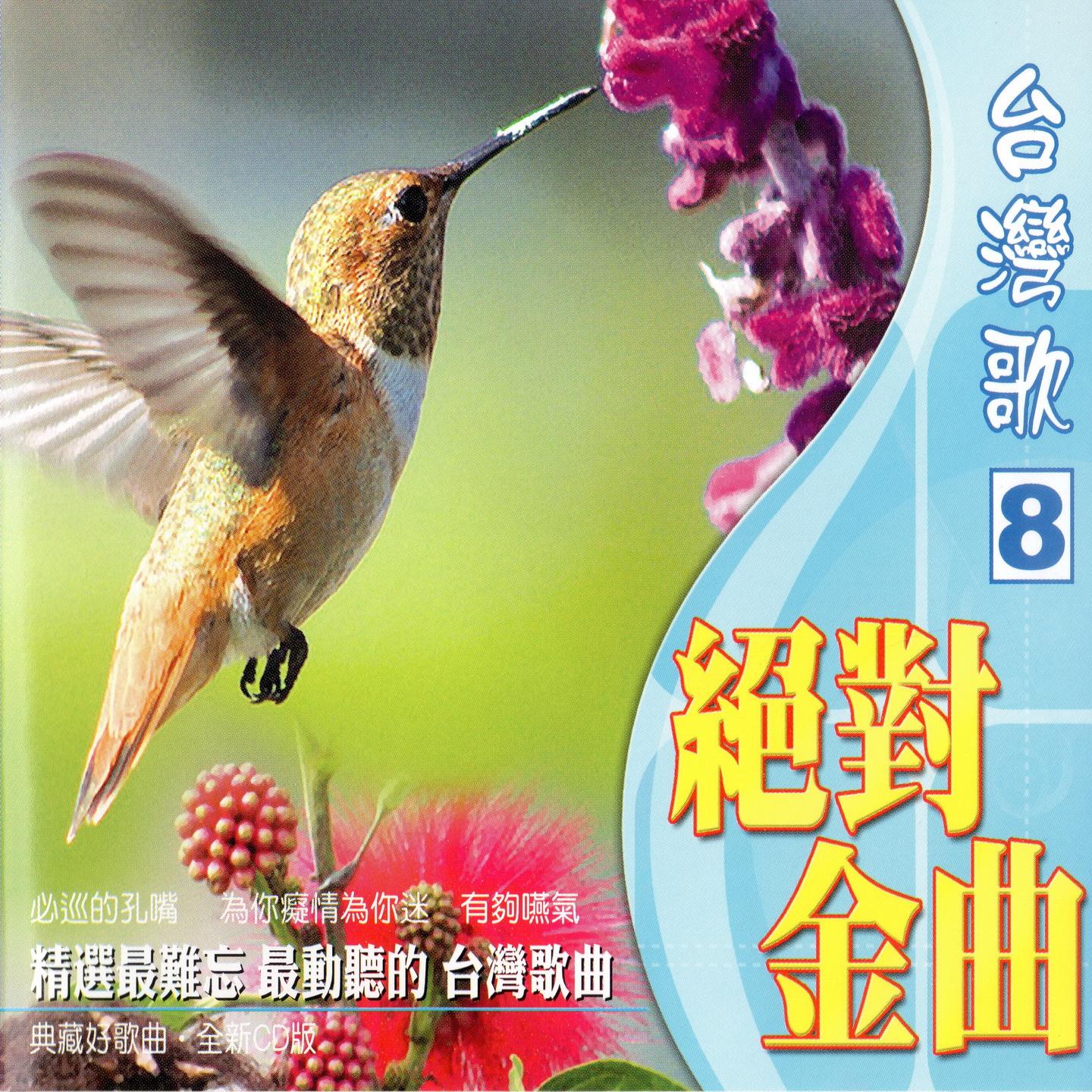必巡的孔嘴 海報