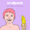 Smallpools - Centerfold