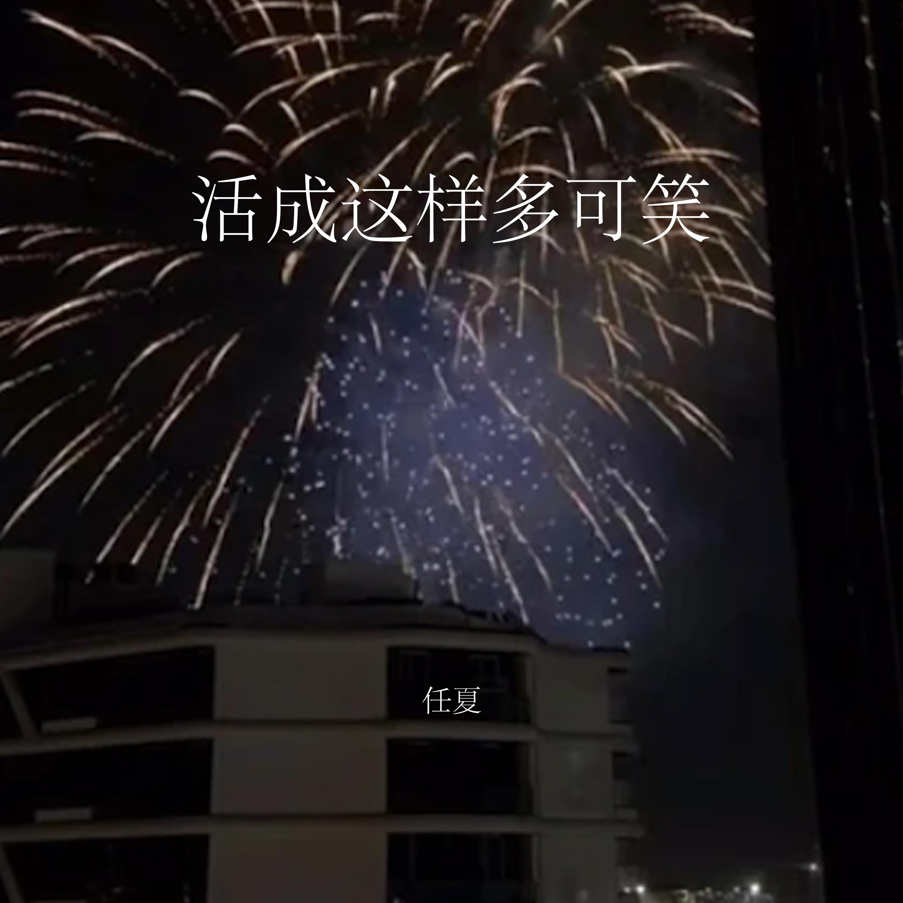 活成這樣多可笑 海報