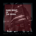 Dark night of the Seoul专辑