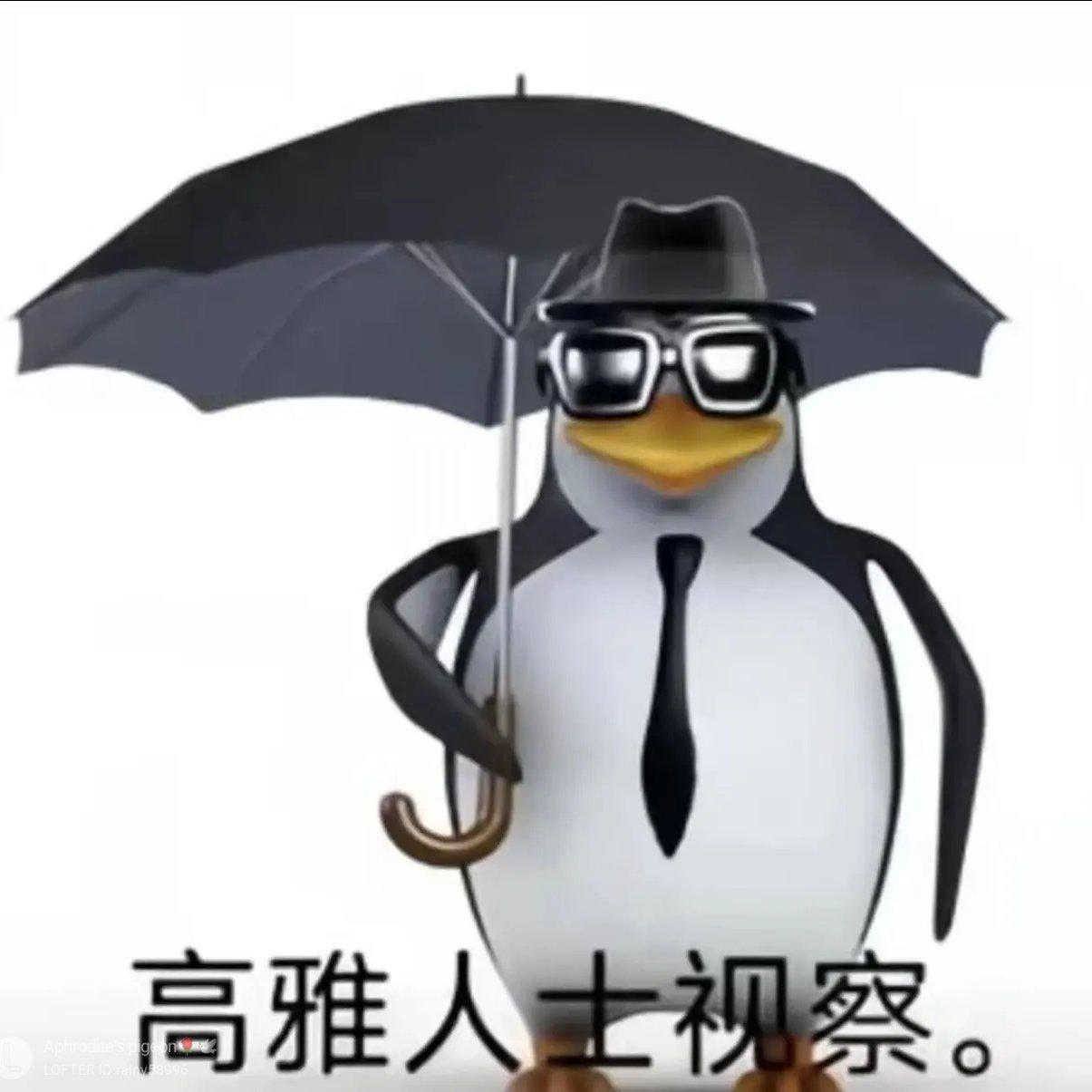 闰土的猹UM