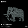 M. Rodriguez - 45 Of The Pains