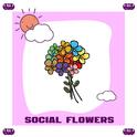 Social flower专辑