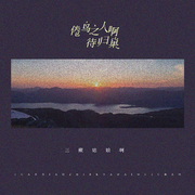 倦鸟之人啊待归巢