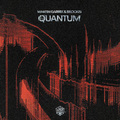 Quantum