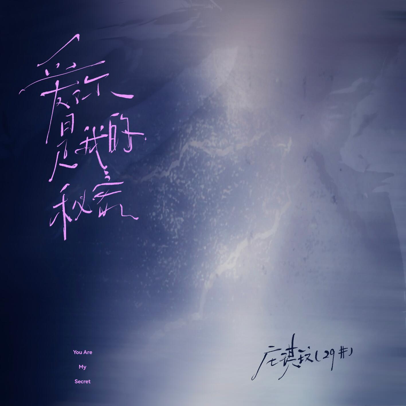 愛你是我的秘密 海報