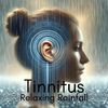 Healing Rain Sound Academy - Droplets Fall, Stress Dissolves in Harmony