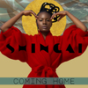 Shingai - Coming Home