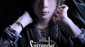 Surrender Love专辑