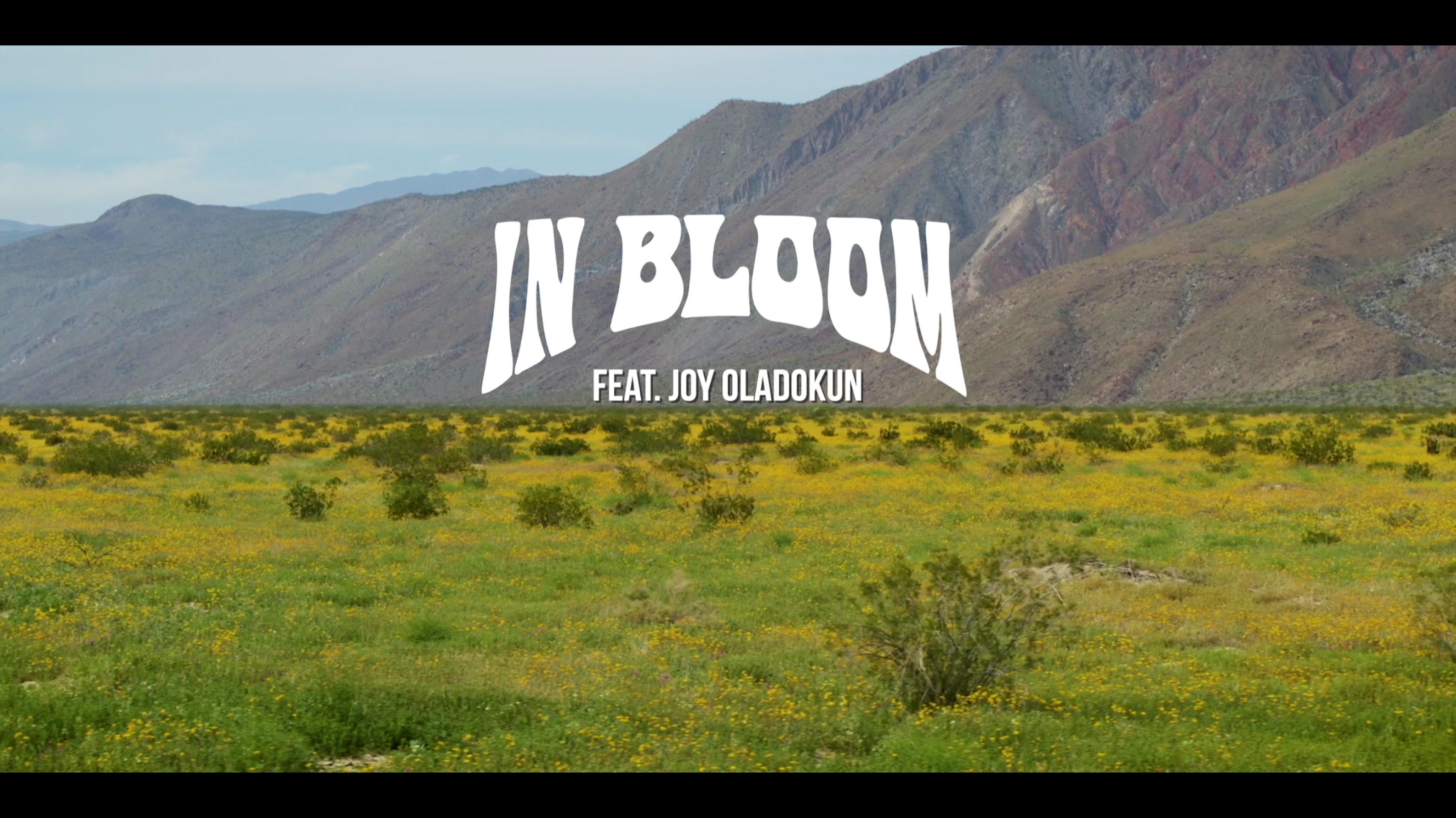 Jon Foreman - In Bloom (Lyric Video)
