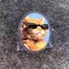 洋芋洋芋炸洋芋 - 带墨镜的大黄猫