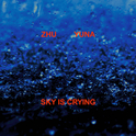 Sky Is Crying专辑